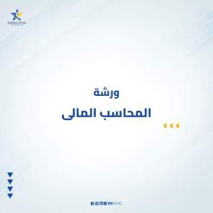 المحاسب المالي